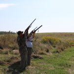 стелла залп