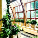 IMG_20250623_134251_127